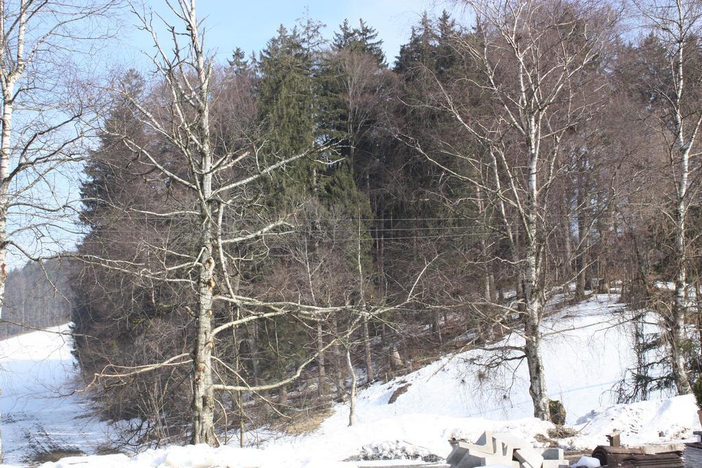 Ferienwohnungen Neukirchen Neukirchen am Teisenberg Exterior foto