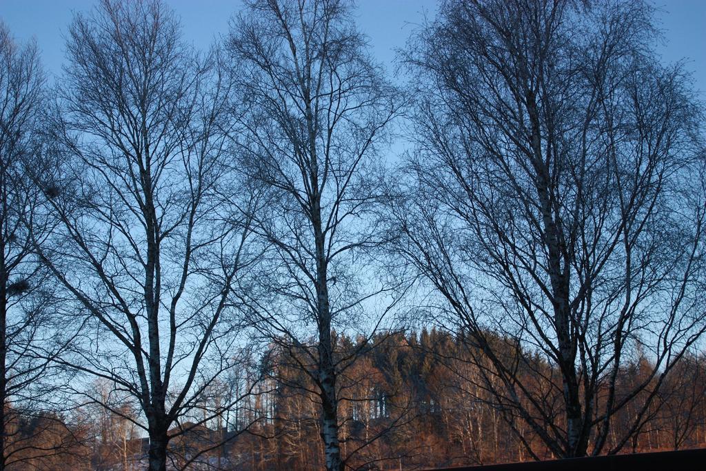 Ferienwohnungen Neukirchen Neukirchen am Teisenberg Exterior foto